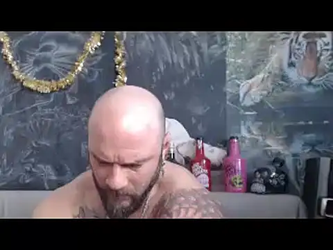 viking 30 online show from 26, 2, 2026