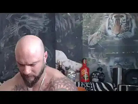 viking 30 online show from 11, 4, 2026