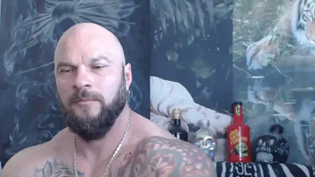 Snapshot of viking_30 chatting on 27, 5, 2026 viking 30 online show from 27, 5, 2026