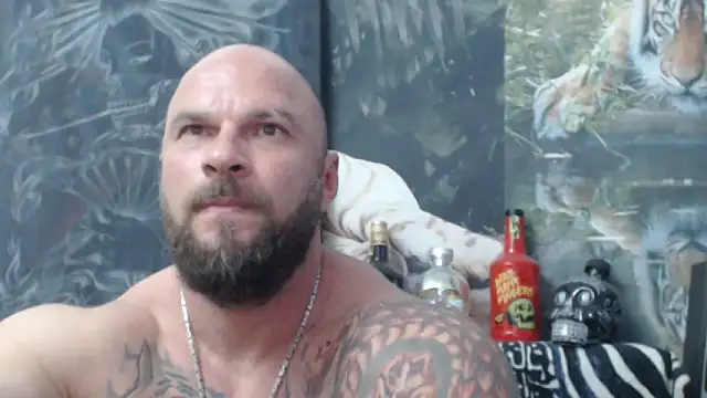 Snapshot of viking_30 chatting on 6, 6, 2026 viking 30 online show from 6, 6, 2026