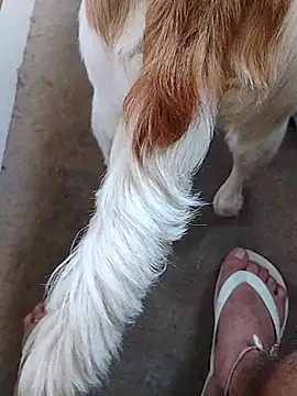 Snapshot of yourboysexy19 chatting on 4, 12, 2025 yourboysexy19 online show from 4, 12, 2025