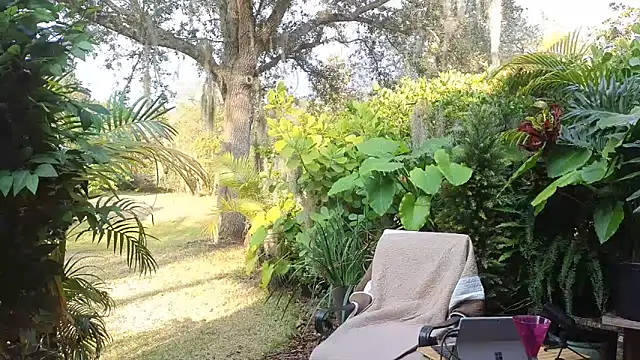 eliberator1777 online show from 31, 1, 2025