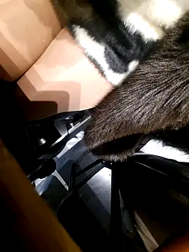 Dirtyfeelin online show from 18, 11, 2025