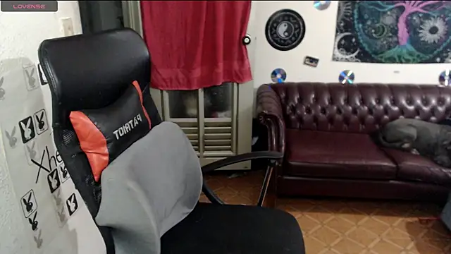 Snapshot of xherry_horny chatting on 19, 2, 2025 xherry horny online show from 19, 2, 2025