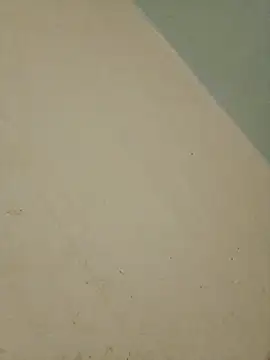 Indianbloom- online show from 17, 2, 2026