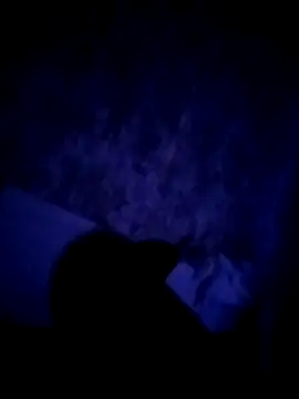 Snapshot of alfiebrown007 chatting on 2, 3, 2026 alfiebrown007 online show from 2, 3, 2026