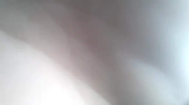 Snapshot of Dalton2288 chatting on 21, 1, 2025 Dalton2288 online show from 21, 1, 2025