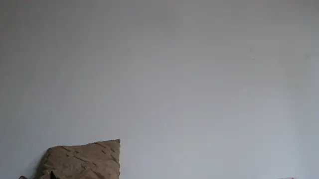 Katze22 online show from 13, 12, 2024