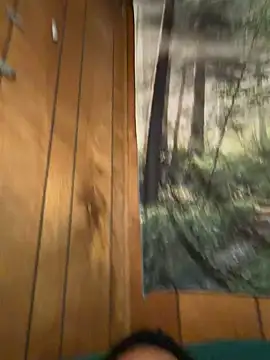 Snapshot of ScottyOne17 chatting on 17, 3, 2026 ScottyOne17 online show from 17, 3, 2026