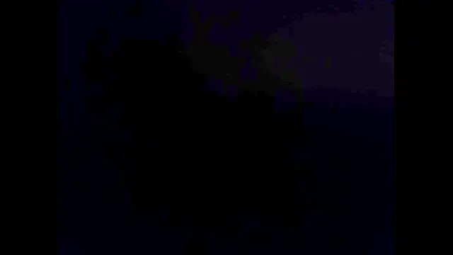 hairyuncut00 online show from 2, 11, 2025