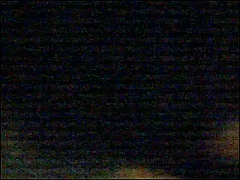 Snapshot of Mghty-cockl88 chatting on 26, 12, 2024 Mghty-cockl88 online show from 26, 12, 2024