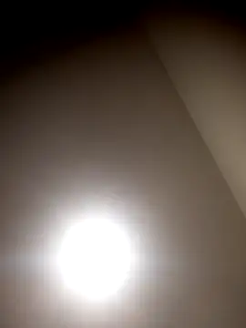 sua sub  online show from 23, 3, 2026