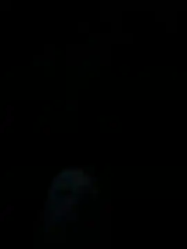 dropmoney online show from 1, 12, 2025