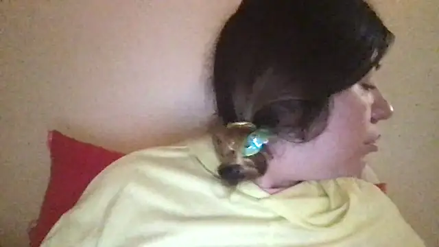 HYPHYtype online show from 2, 3, 2025