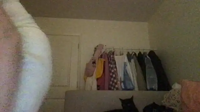 HYPHYtype online show from 23, 9, 2025