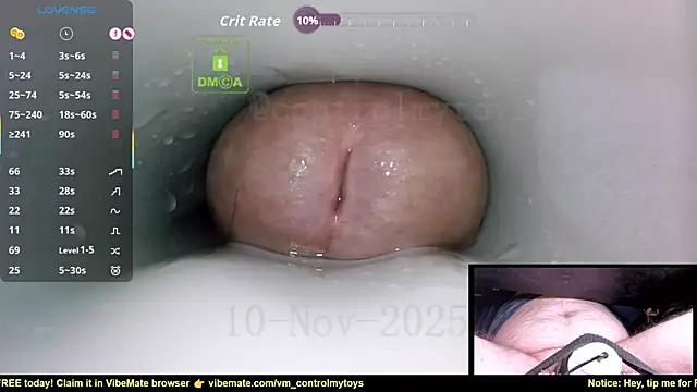 Snapshot of controlmytoys chatting on 10, 11, 2025 controlmytoys online show from 10, 11, 2025