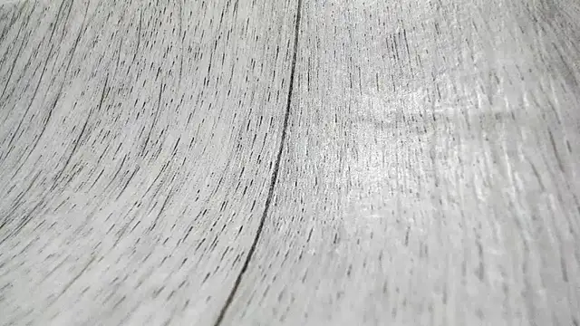 LittleSonya online show from 15, 12, 2025