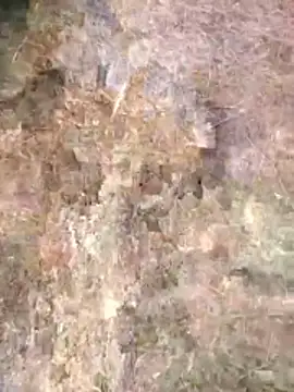 FinableKnee online show from 24, 4, 2026