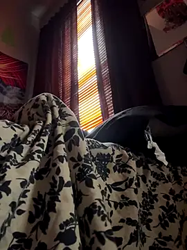 spideyzaddy online show from 26, 11, 2025