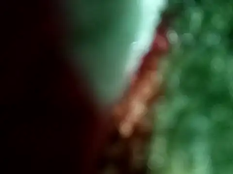 Rittik00 online show from 11, 1, 2026