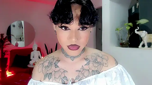 little star porn online show from 19, 12, 2025