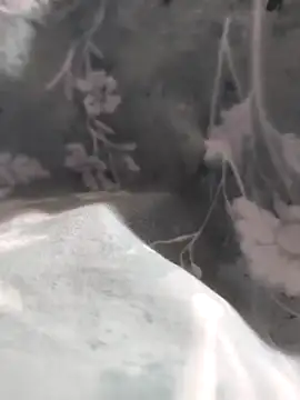 Snapshot of Elixire1 chatting on 6, 1, 2026 Elixire1 online show from 6, 1, 2026