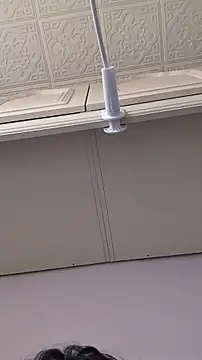 Snapshot of Elixire1 chatting on 1, 2, 2026 Elixire1 online show from 1, 2, 2026