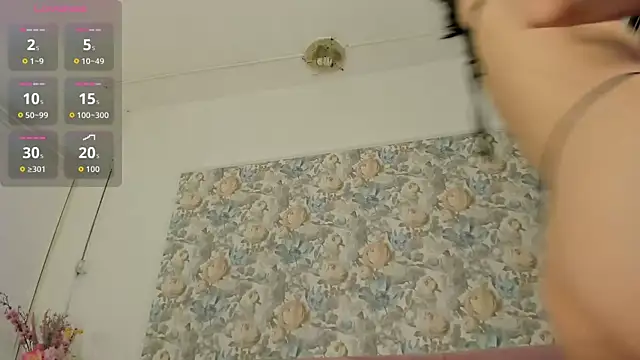 illegal lorry online show from 1, 4, 2026