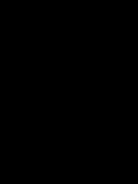 Snapshot of Furdale chatting on 4, 12, 2024 Furdale online show from 4, 12, 2024