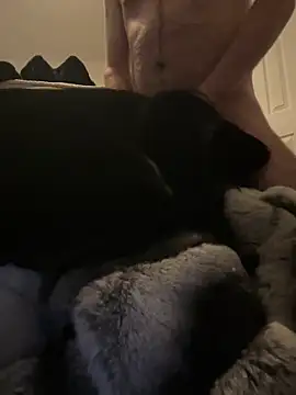 Snapshot of Furdale chatting on 30, 12, 2024 Furdale online show from 30, 12, 2024