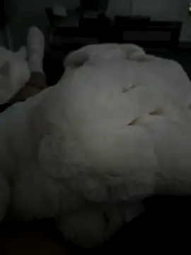 Furdale online show from 5, 11, 2025