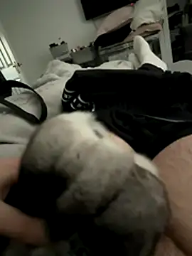 Furdale online show from 16, 12, 2025