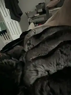 Furdale online show from 9, 3, 2026