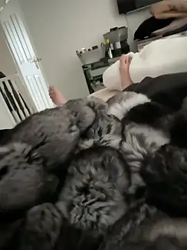 Furdale online show from 15, 3, 2026