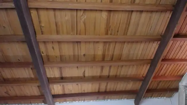 Nicolle Milf online show from 19, 12, 2025