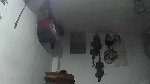 Snapshot of crazylatinguyy chatting on 4, 12, 2025 crazylatinguyy online show from 4, 12, 2025