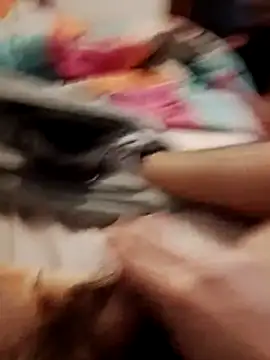 jon763 online show from 19, 2, 2026