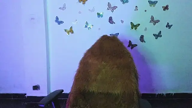 Little Lisy online show from 6, 3, 2026