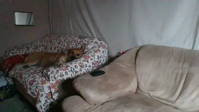 Snapshot of xykenrah48 chatting on 18, 3, 2026 xykenrah48 online show from 18, 3, 2026