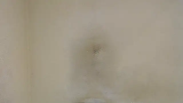 AlexNudo online show from 30, 1, 2025