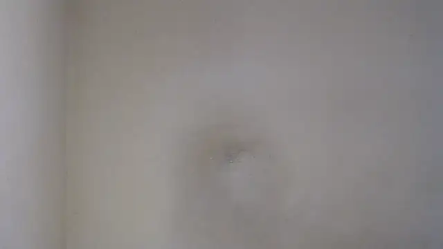 AlexNudo online show from 26, 2, 2025