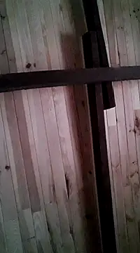 Snapshot of davigochi77bcn chatting on 6, 3, 2025 davigochi77bcn online show from 6, 3, 2025