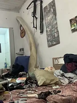 raphadoors19 online show from 20, 12, 2025