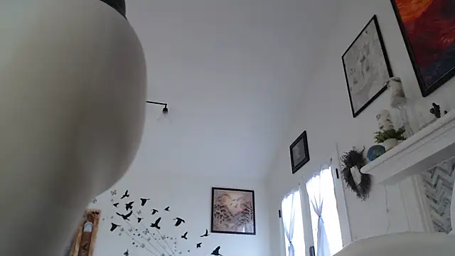 Snapshot of AuroraWillows chatting on 19, 1, 2026 AuroraWillows online show from 19, 1, 2026