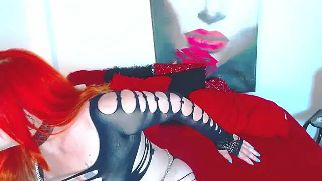dairia meraky online show from 8, 5, 2026