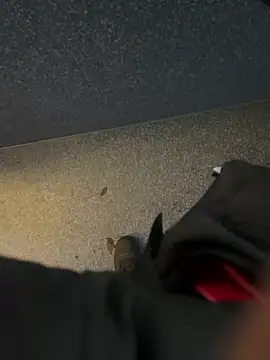 angelitasexy81 online show from 15, 12, 2025