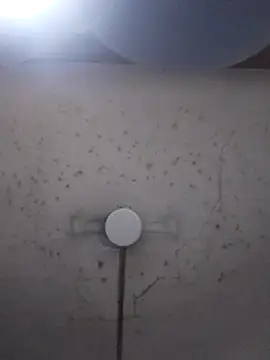 Snapshot of marie12345679 chatting on 26, 2, 2026 marie12345679 online show from 26, 2, 2026