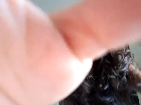 Abysparadise online show from 11, 11, 2025