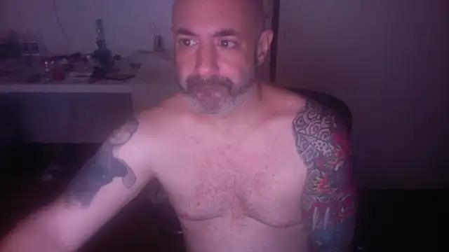 palidin1 online show from 6, 7, 2026