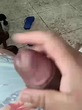 vini4016 online show from 1, 1, 2025